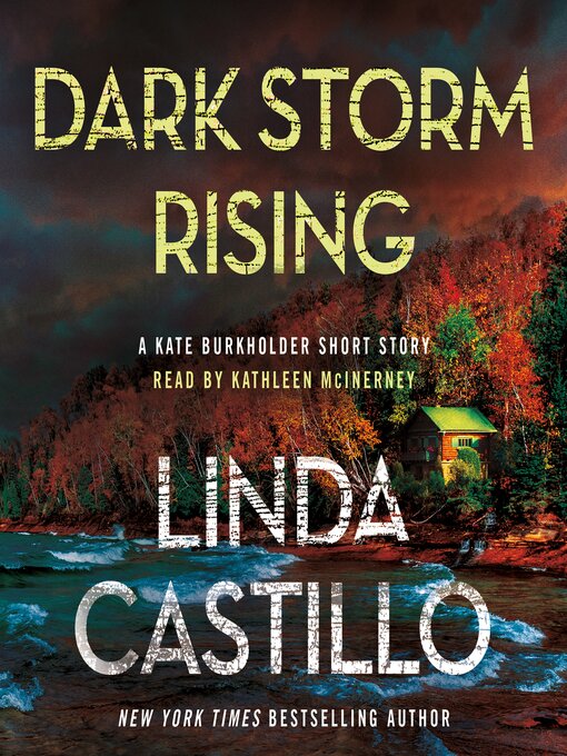 Title details for Dark Storm Rising by Linda Castillo - Available